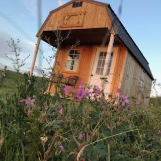 Pensjonat Montana Old West Cabins Babb Zewnętrze zdjęcie